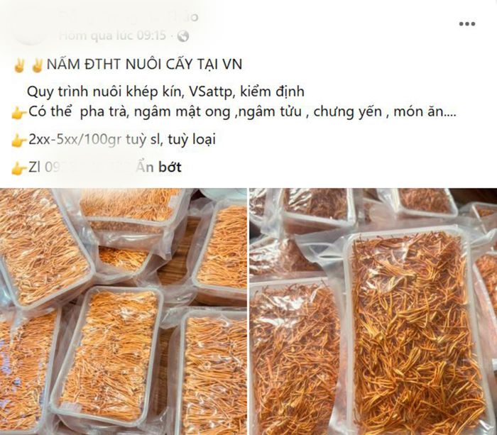 Người tiêu dùng gần như không thể phân biệt đông trùng hạ thảo chất lượng chỉ bằng mắt thường. (Ảnh chụp màn hình)