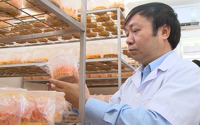 TS Phạm Văn Nhạ cho biết đông trùng hạ thảo được bán trên thị trường hiện nay rất khó kiểm soát được chất lượng (Ảnh: Viện Nghiên cứu Thảo dược Việt Nam)
