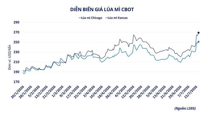 Diễn biến giá lúa mì tuần qua. Nguồn: MXV