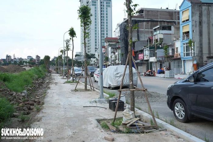 Hạng mục cây xanh đã được triển khai tại một số đoạn.