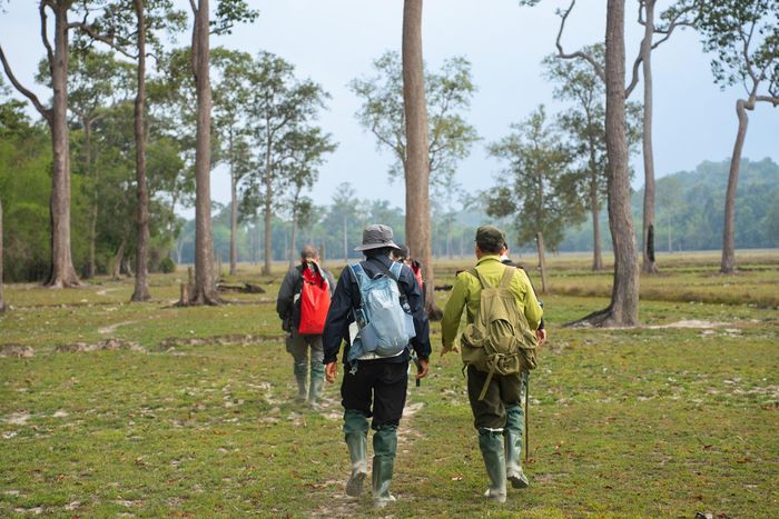 Tour khám phá đưa du khách hiking xuyên rừng, trải nghiệm thực địa tại VQG Cát Tiên. Ảnh: Oxalis.