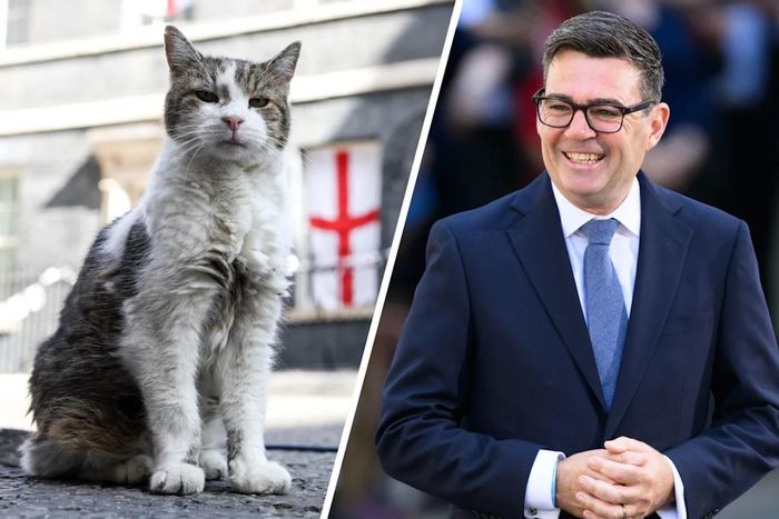 Ngày 20/7 (giờ địa phương), ông Andy Burnham chính thức trở thành Thủ tướng Anh, thay thế ông Keir Starmer sau khi cựu lãnh đạo Công đảng tuyên bố từ chức. Đây là vị Thủ tướng thứ 7 của Anh chỉ trong một thập kỷ. Khi chuyển tới dinh thủ tướng tại số 10 phố Downing, ông Burnham sẽ làm quen với Larry - chú mèo biểu tượng trong đời sống đại chúng Anh.
