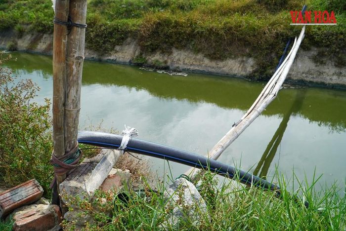 Hệ thống xử lý nước thải tại cơ sở giết mổ cũng chưa đảm bảo các yêu cầu điều kiện về môi trường