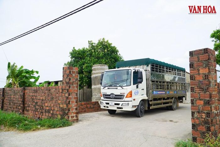 Dù không đủ điều kiện an toàn thực phẩm nhưng cơ sở giết mổ tập trung Thạch Đồng và nhiều cơ sở khác trên địa bàn Hà Tĩnh vẫn đang hoạt động