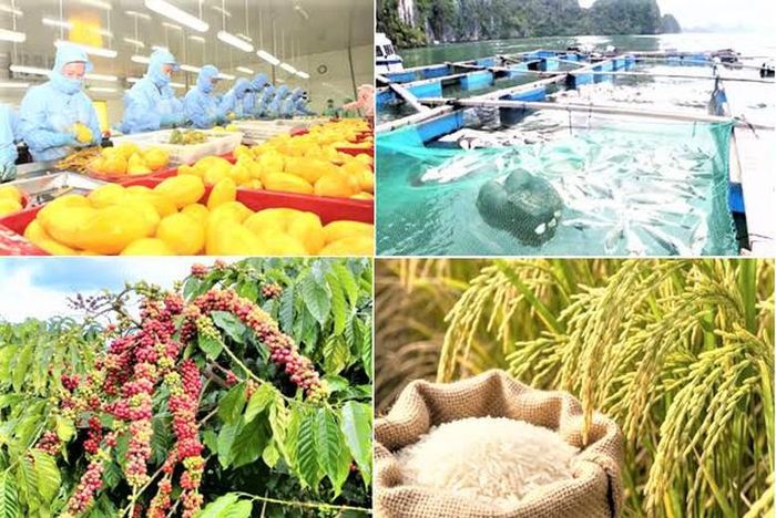 Để thoát khỏi hình ảnh "xuất khẩu nguyên liệu thô", ngành nông nghiệp đang hướng tới mô hình kinh tế tuần hoàn và chế biến sâu.