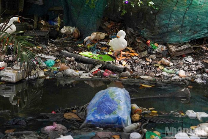 Rạch Văn Thánh dài khoảng 1,9km, nối từ cầu Điện Biên Phủ đến ngã ba kênh Nhiêu Lộc-Thị Nghè, đi qua địa bàn phường Thạnh Mỹ Tây, Thành phố Hồ Chí Minh. Trước đây, rạch là tuyến tiêu thoát nước quan trọng của khu vực trung tâm.