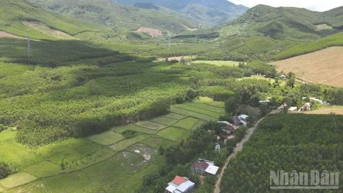 Xã Tam Mỹ có tổng diện tích 173,14km2, với độ che phủ rừng lên đến 70,6%.