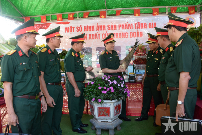 Các đại biểu tham quan gian trưng bày sản phẩm tăng gia sản xuất của Trung đoàn 95.
