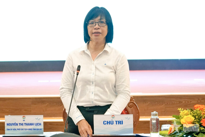 Đồng chí Nguyễn Thị Thanh Lịch, Phó chủ tịch UBND tỉnh, Trưởng ban Tổ chức liên hoan phát biểu.