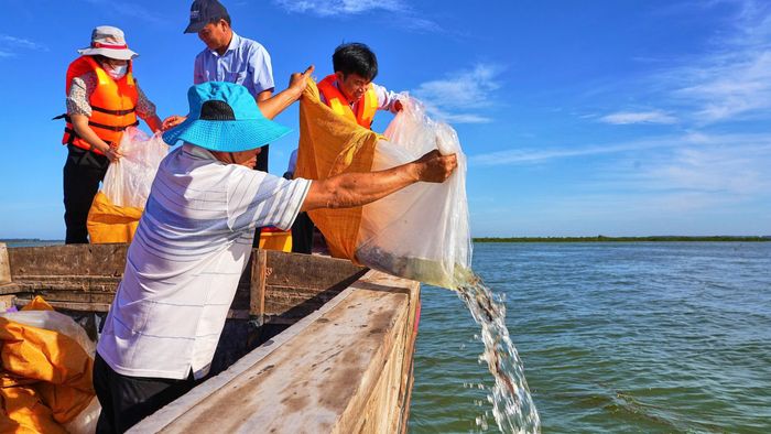 Thả cá trên lòng hồ Dầu Tiếng (TPHCM), nhằm tái tạo môi trường sinh thái. Ảnh: ĐOÀN NGUYÊN