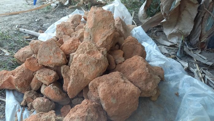  Những mẫu đất tại khu vực lò nung được khai quật. Ảnh: NGUYỄN TRANG 