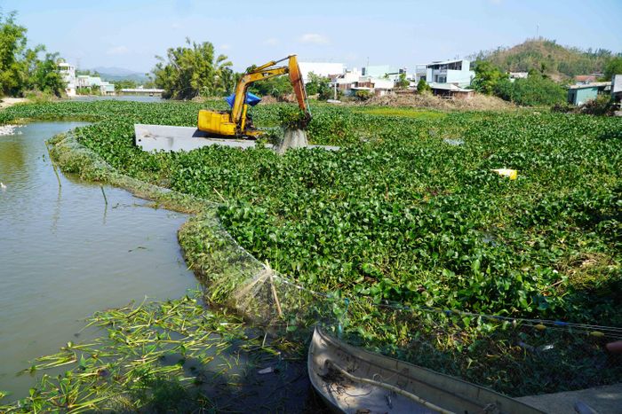 Công nhân sử dụng bè phao, máy cầu để trục vớt lục bình bủa vây hạ du sông Hà Thanh