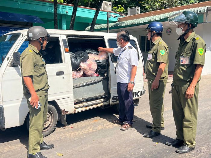 Lực lượng chức năng phát hiện xe tải chở 800kg thịt heo bốc mùi hôi thối. Ảnh: Cơ quan chức năng cung cấp