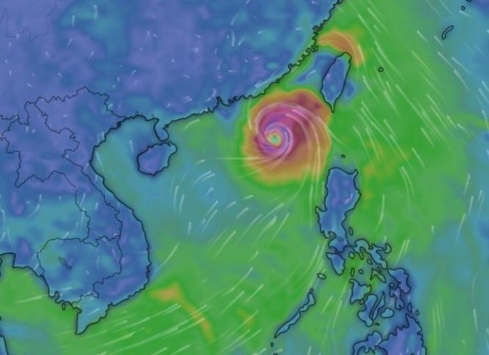 Dự báo của Windy về vị trí bão vào tối 25-7. Ảnh chụp lại màn hình