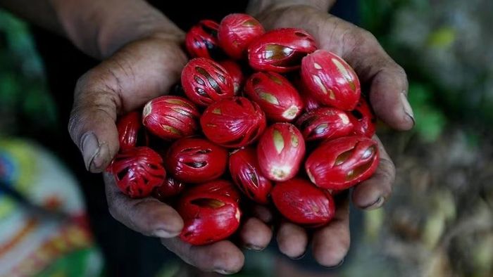 Ảnh: indoindians
