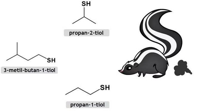 Ảnh: ciencia.bambui.ifmg.edu