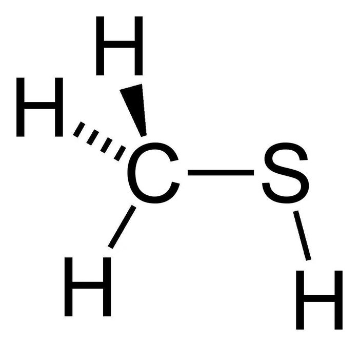 Ảnh: de-academic