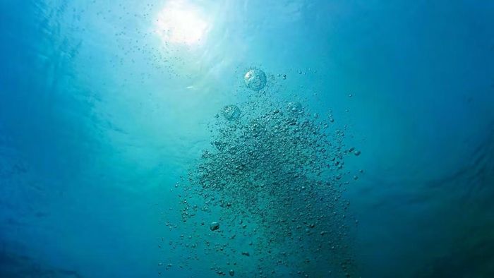 Lượng oxy hòa tan trong nước trên toàn cầu đang suy giảm nghiêm trọng.