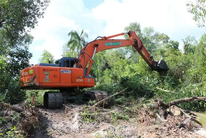 Tiến hành thực hiện công tác cưỡng chế.