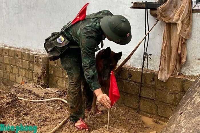 Huấn luyện viên đánh dấu vị trí có tín hiệu nghi vấn do chó nghiệp vụ phát hiện, làm cơ sở để tiếp tục kiểm tra, tìm kiếm kỹ hơn. Ảnh: Văn Nghĩa
