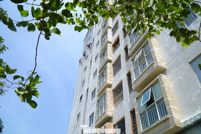 Nhìn từ xa, những người thợ sơn hệt như "người nhện" bám lưng tòa nhà.