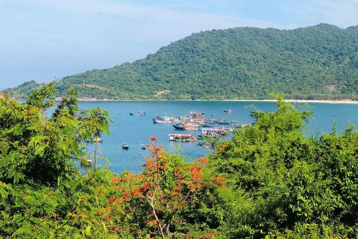Cách phố cổ Hội An khoảng 18 km, Cù Lao Chàm được UNESCO công nhận là Khu dự trữ sinh quyển thế giới nhờ hệ sinh thái đa dạng với hơn 950 loài thủy sinh.