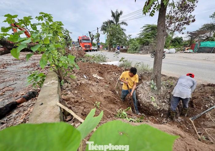 Tháng 4 vừa qua, Chủ tịch UBND TP.Hà Nội Vũ Đại Thắng đã yêu cầu điều chỉnh tiến độ theo hướng "có mặt bằng đến đâu thi công đến đó". Các nhà thầu vì vậy đã tăng cường nhân lực, máy móc, phấn đấu hoàn thành toàn bộ các hạng mục trong năm 2026.