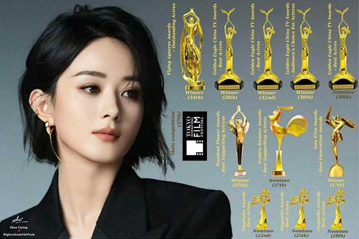 Triệu Lệ Dĩnh giành nhiều giải thưởng nhưng vẫn không có phim đóng gần hai năm.