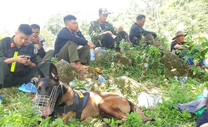 Chó nghiệp vụ được huy động để tìm kiếm bé gái