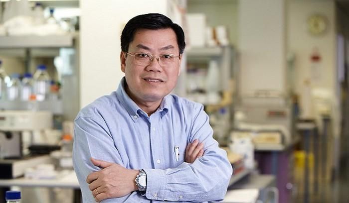 Giáo sư Nguyễn Văn Tuấn, Đại học New South Wales (Australia), là chuyên gia hàng đầu trong lĩnh vực y khoa và khoa học y sinh. Ảnh: TGCC