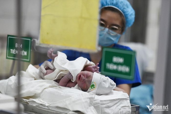Lao động nữ phải đóng BHXH bắt buộc từ đủ 6 tháng trong 12 tháng trước khi sinh con để được hưởng chế độ thai sản theo quy định. Ảnh minh họa: Hồng Minh