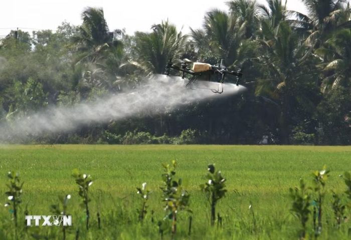 Nông nghiệp hiện đại được xác định là một trong những hướng hợp tác triển vọng trong thời gian tới. (Ảnh: Duy Khương/TTXVN)