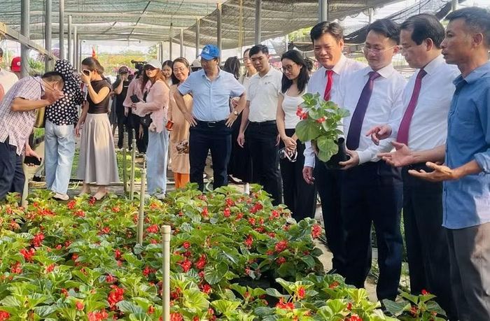 Các đại biểu đi thăm, khảo sát làng hoa cây cảnh Tích Giang, xã Phúc Thọ. (Ảnh: Tuyết Mai/TTXVN)