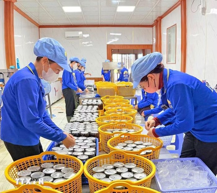 Quy trình chế biến các sản phẩm OCOP không chỉ tuân thủ nghiêm ngặt các quy định về an toàn, chất lượng mà kiểu dáng bao bì cũng được cải tiến phù hợp với yêu cầu của thị trường. (Ảnh: Huỳnh Anh/TTXVN)