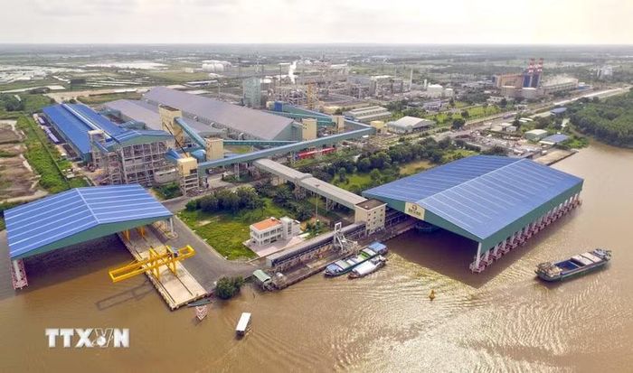 Tỉnh Cà Mau sẽ tập trụng vào xây dựng các vùng nguyên liệu tập trung gắn với chế biến sâu, đáp ứng tiêu chuẩn quốc tế. (Ảnh: Huỳnh Anh/TTXVN)
