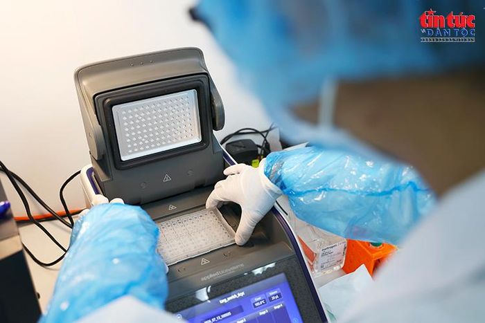 Kỹ thuật viên chuẩn bị khay mẫu phục vụ công đoạn khuếch đại và tạo thư viện giải trình tự gen.