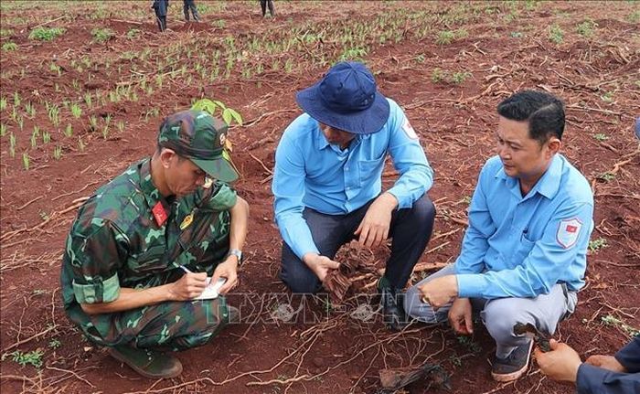 Cán bộ, chiến sĩ Đội K72 ghi chép tỉ mỉ từng vị trí, di vật trong quá trình tìm kiếm, quy tập hài cốt liệt sĩ tại xã Minh Đức.