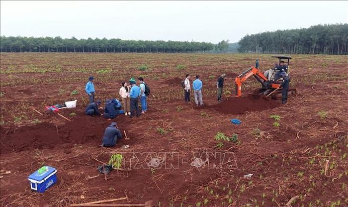 Công tác tìm kiếm, quy tập hài cốt liệt sỹ đang được Đội K72 tiến hành khẩn trương tại xã Minh Đức.