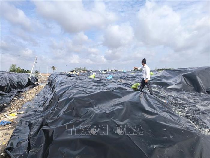 Bãi rác An Hiệp, thuộc khu vực Bến Tre cũ, được xử lý bằng cách che phủ để hạn chế ô nhiễm do rò rỉ nước, bốc mùi hôi.