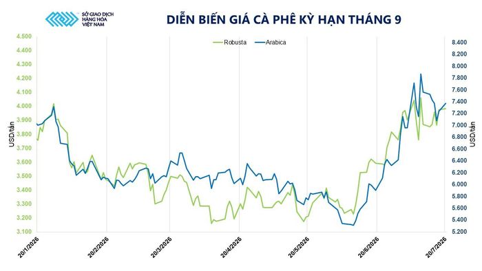 Diễn biến giá cà phê kỳ hạn tháng 9.
