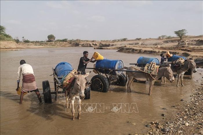 Người dân múc nước sông để sinh hoạt tại Gode, Ethiopia. Ảnh: AFP/TTXVN