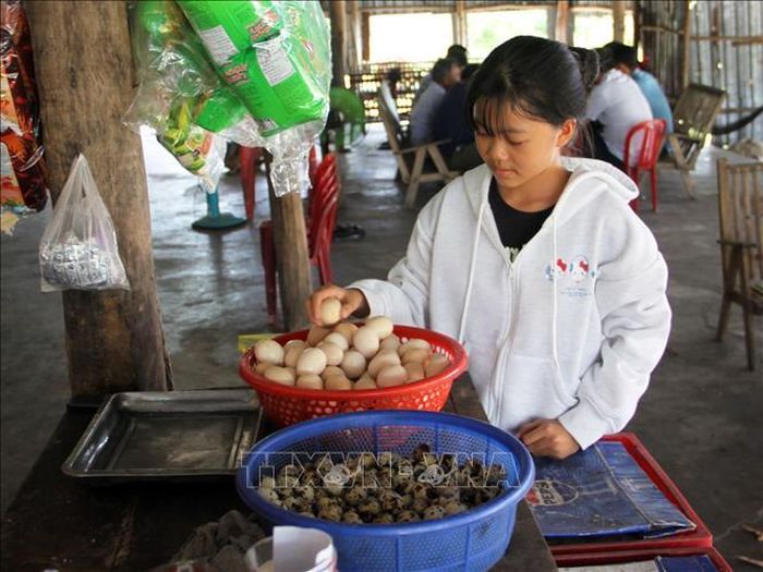 Du khách chọn mua trứng tại cửa hàng kinh doanh tạp hóa và dịch vụ ăn uống ở khu suối khoáng nóng Hội Vân.