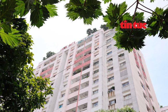 Dự án chung cư Thái An 3 và 4 do Công ty TNHH Địa ốc Đất Lành làm chủ đầu tư.