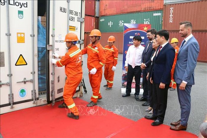 Đại diện các bên chứng kiến tiếp nhận lô hàng. Ảnh: Hoàng Ngọc/TTXVN