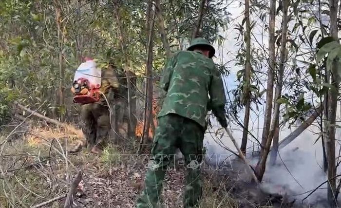 Cán bộ chiến sĩ Đồn Biên phòng cửa khẩu cảng Chân Mây, Ban Chỉ huy Bộ đội Biên phòng thành phố Huế phối hợp với chính quyền địa phương kịp thời khống chế vụ cháy rừng trồng keo. Ảnh: TTXVN phát