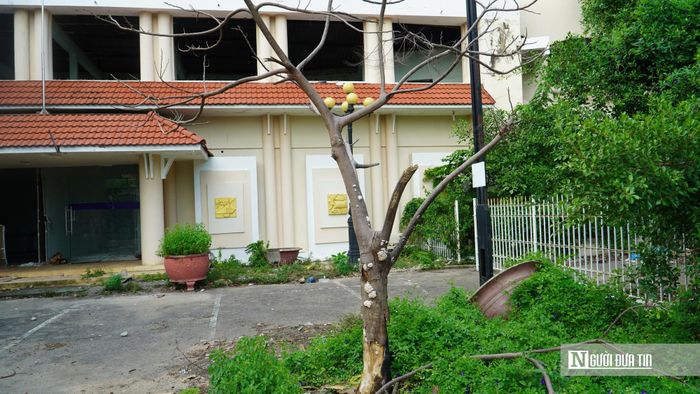 Ngày 20/7, ghi nhận của PV Người Đưa Tin tại số 2 đường Bà Triệu, phường Phan Thiết (trụ sở Nhà Thiếu nhi Tp.Phan Thiết cũ) cho thấy công trình hiện bị bỏ không. Khuôn viên cỏ mọc um tùm, nhiều hạng mục xuống cấp, không có người quản lý, tiềm ẩn nguy cơ ảnh hưởng đến an ninh, trật tự.