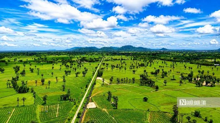 Những hàng thốt nốt vươn cao giữa cánh đồng ở vùng Tri Tôn, Tịnh Biên…từ lâu đã trở thành biểu tượng của vùng đất Bảy Núi (An Giang). Không chỉ tạo nên cảnh quan đặc trưng, loài cây này còn gắn bó mật thiết với đời sống của đồng bào Khmer qua nhiều thế hệ.