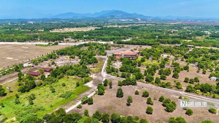 Chủ tịch HĐND tỉnh Quảng Ngãi Nguyễn Đức Tuy đánh giá, đây là một trong những dự án gây lãng phí lớn. Trong đó, lãng phí cho nhà đầu tư và ngân sách tỉnh, không giải quyết được vấn đề việc làm cho lao động địa phương. Ông Tuy đề nghị tỉnh vào cuộc khẩn trương xử lý các vấn đề của dự án này, khơi thông nguồn lực, chống lãng phí. "Giải pháp đã nêu, cách làm thế nào thì từng bước, chắc chắn, xong bước nào chắc chắn bước đó nhưng phải đúng theo quy định pháp luật", ông Tuy nhấn mạnh.