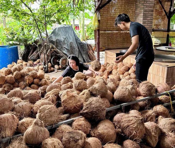 Điểm thu mua dừa lấy dầu tại Đồng Tháp