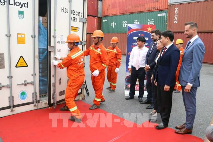 Đại diện các bên chứng kiến tiếp nhận lô hàng. Ảnh: Hoàng Ngọc - TTXVN